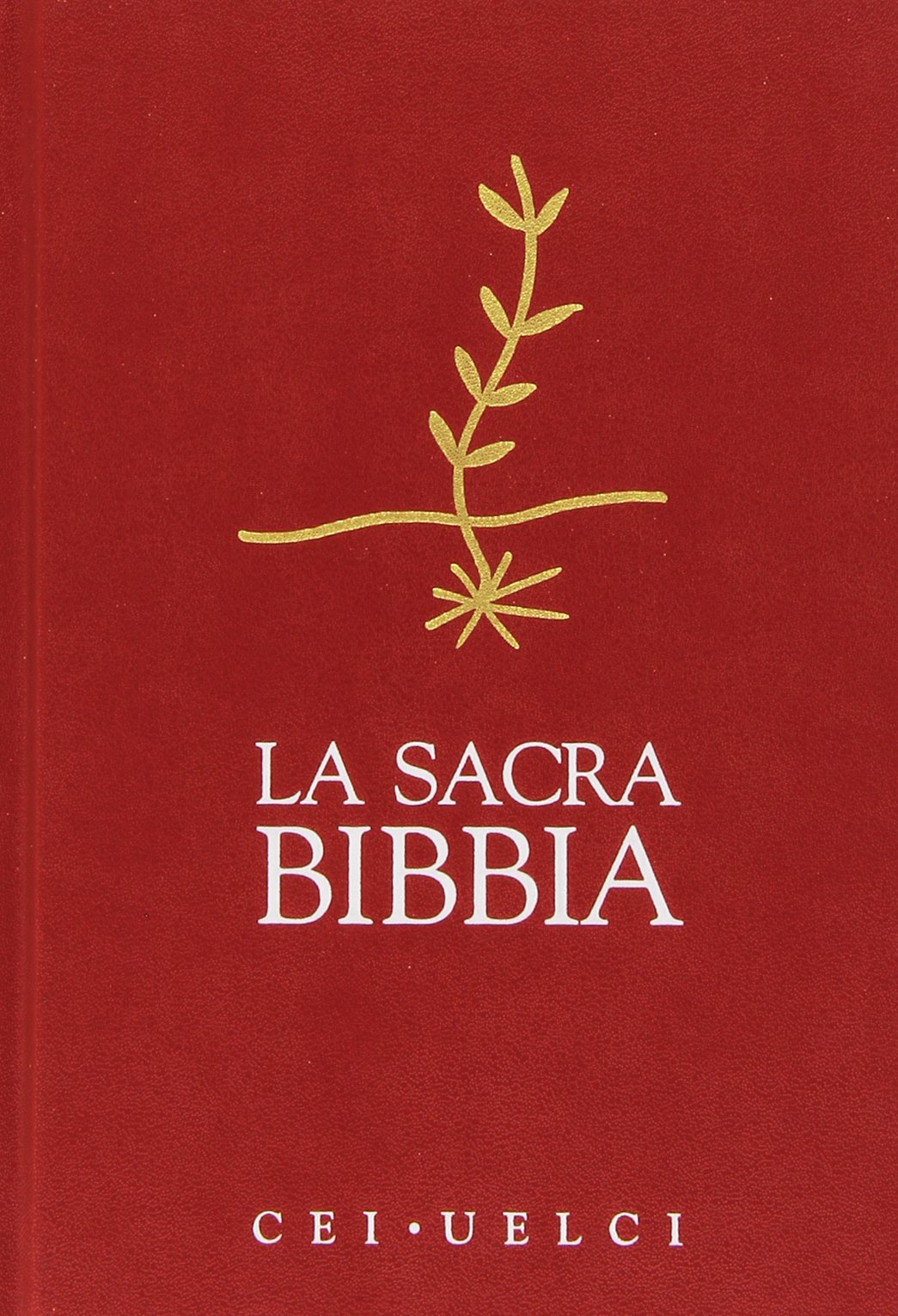 Bibbia  Il testo della Bibbia in traduzione italiana