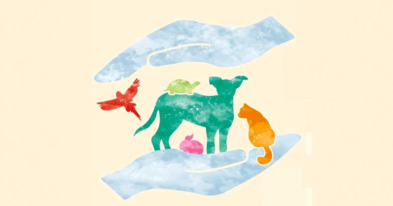 Al suo fianco sino all'ultimo viaggio