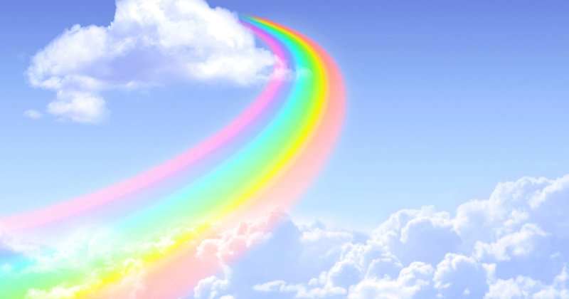Il Ponte Arcobaleno: scopri la vera storia dietro la leggenda che commuove milioni di persone