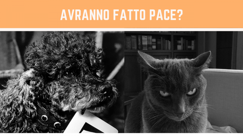 Pace fatta tra Geremia e Peg?